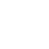 A white chess knight icon on a transparent background.